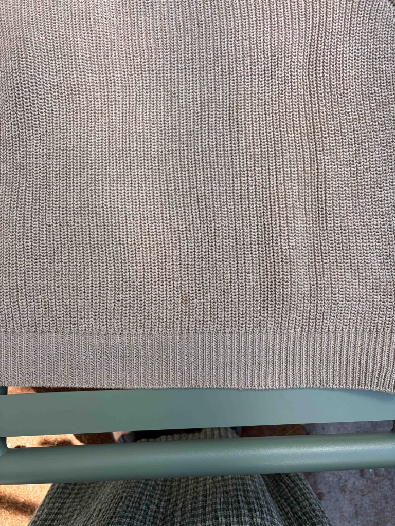 Shaina Mote Saatchi Sweater — image 8 of 8